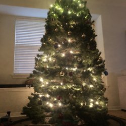 Optimist Club of Austin - 8' tree