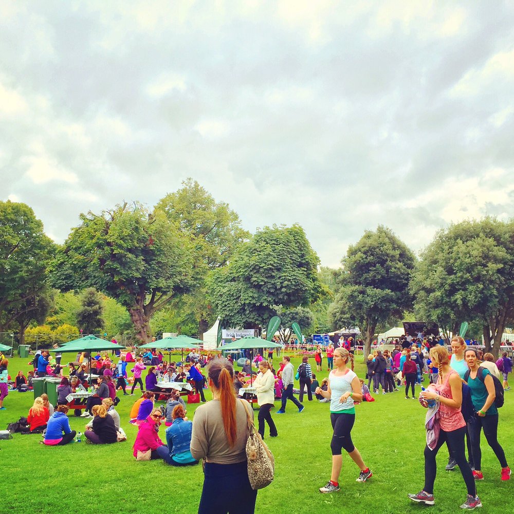 WellFest - Festivals Near Me - Dublin, D