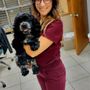Photo of 434 Animal Hospital
