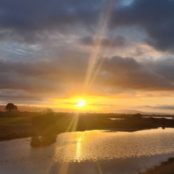 Marina Park - Good morning bay area - Parks Near Me - San Leandro, California Marina Park - Good morning bay area - Parks Near Me - San Leandro, California