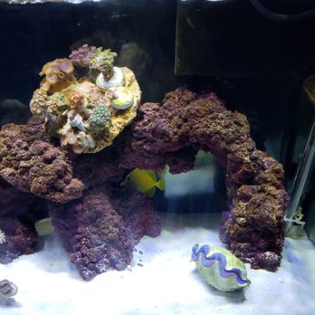 1st Class Aquarium - Aquariums Near Me - Staten Island, New York