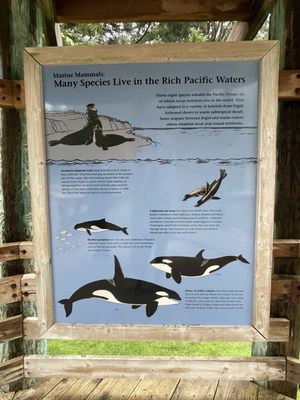 Cape Meares Lighthouse by null