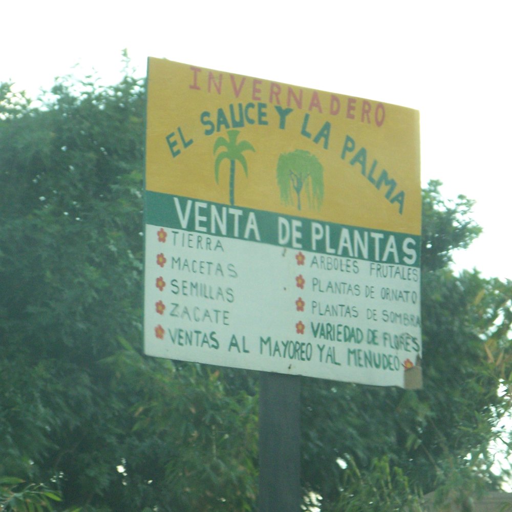 THE BEST 10 NURSERIES & GARDENING in ROSARITO, BAJA CALIFORNIA, MEXICO -  Updated 2026 - Hours - Yelp