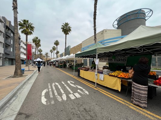 Downtown Long Beach Farmer's Market by null