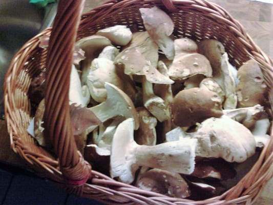 Beisl in der Sigmundsgasse by null