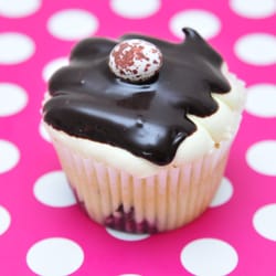 Sprinkalicious Bakery