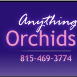 Anything Orchids & Plants