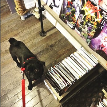 Vinyl Fantasy - Ziggy loves their comic selection - Comic Books Near Me - Bushwick, New York Vinyl Fantasy - Ziggy loves their comic selection - Comic Books Near Me - Bushwick, New York