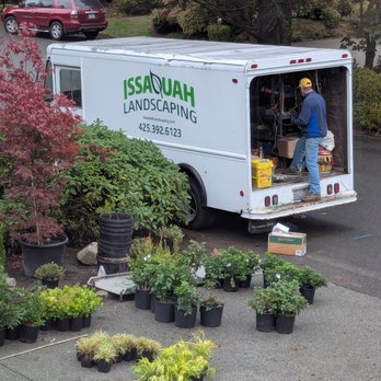 Issaquah Landscaping - One load of the tens of plants planted - Landscaping Near Me Issaquah Landscaping - One load of the tens of plants planted - Landscaping Near Me