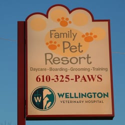 vca wellington animal hospital