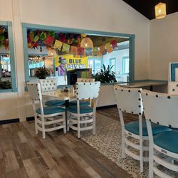 Blue Iguana