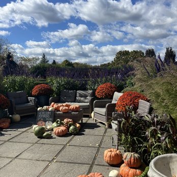 The Farmer's Daughter - Pumpkin display/ seating area - Nurseries & Gardening Near Me - Wakefield, Rhode Island