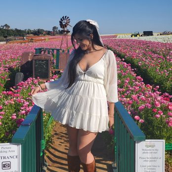 The Flower Fields - Cute photoshoot areas - Venues & Event Spaces Near Me - Carlsbad, California The Flower Fields - Cute photoshoot areas - Venues & Event Spaces Near Me - Carlsbad, California