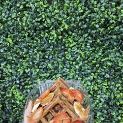 Beverly Nutrition - Protein Waffle