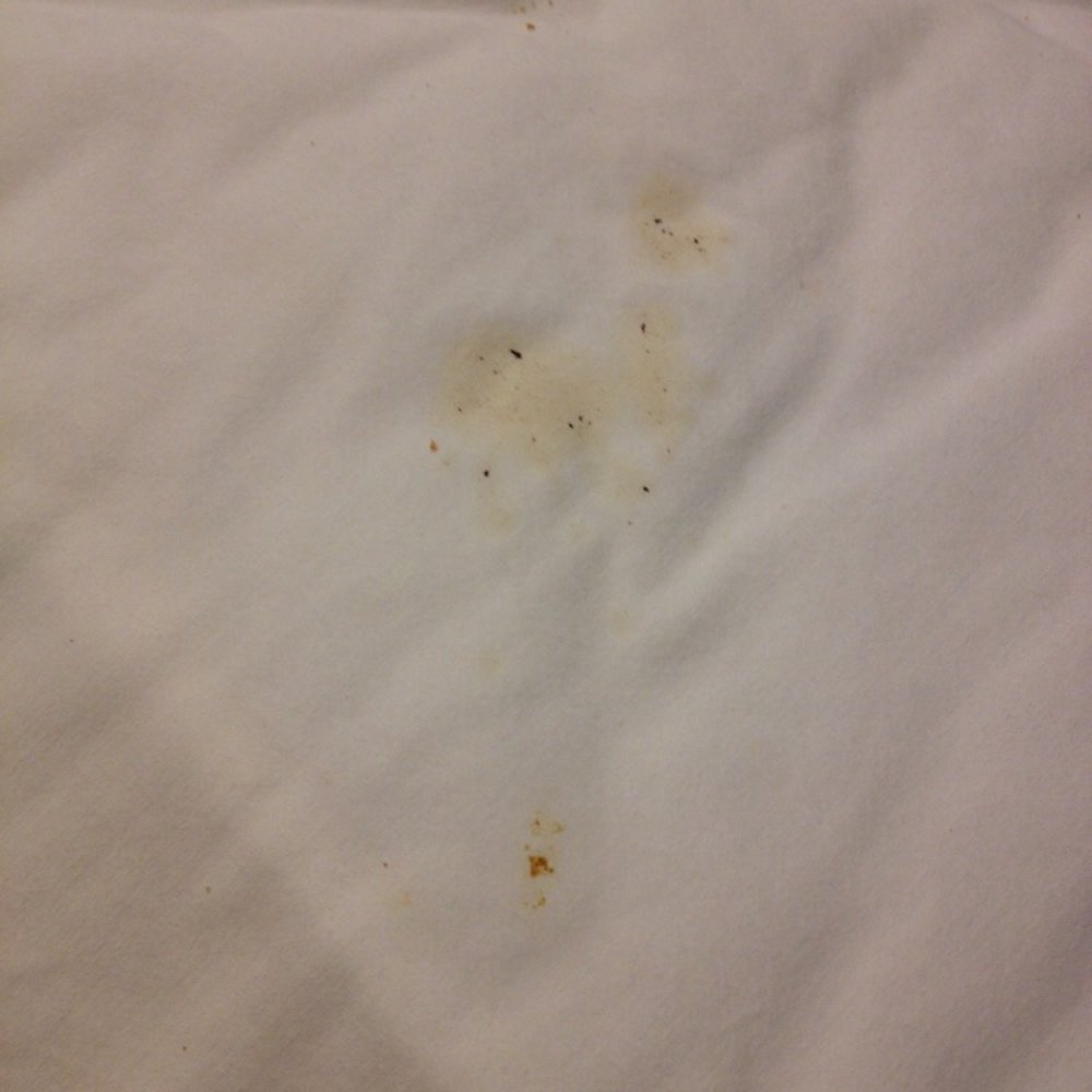Chesapeake Inn and Suites - Food stain - Hotels Near Me - California, Maryland