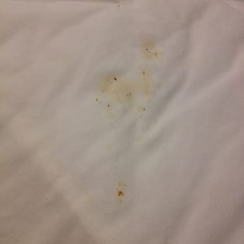 Chesapeake Inn and Suites - Food stain - Hotels Near Me - California, Maryland Chesapeake Inn and Suites - Food stain - Hotels Near Me - California, Maryland