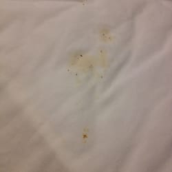 Chesapeake Inn and Suites - Food stain