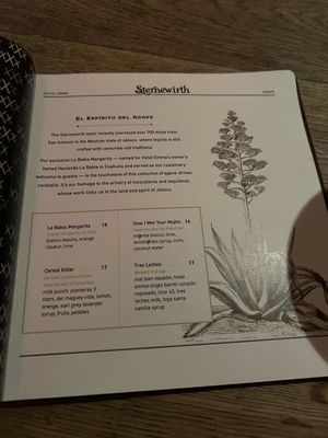 Menu photo 1 Sternewirth Bar San Antonio, TX Menu photo 1 Sternewirth Bar San Antonio, TX