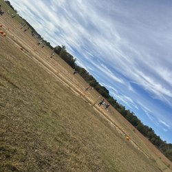 The Great Pumpkin Patch