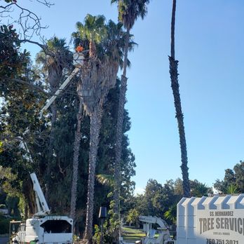 SS Hernandez - Fire Regulation - Tree Services Near Me SS Hernandez - Fire Regulation - Tree Services Near Me