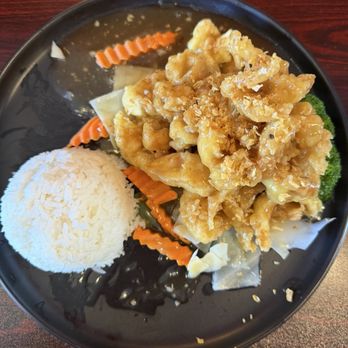 Teerak Thai Resturant - Crispy Garlic Chicken - Thai Near Me - Indiana, Pennsylvania Teerak Thai Resturant - Crispy Garlic Chicken - Thai Near Me - Indiana, Pennsylvania