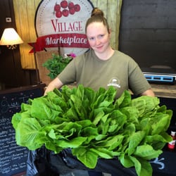 Local, organic, hydroponic romaine lettuce from AF Farms.