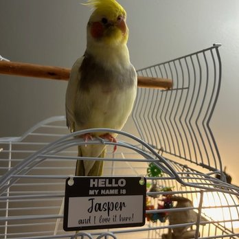Birds Plus - Bird Shops Near Me - Valley Glen, California