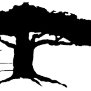 Parkville Insurance Services - Parkville Insurance Tree - Insurance Near Me - Whittier, California Parkville Insurance Services - Parkville Insurance Tree - Insurance Near Me - Whittier, California