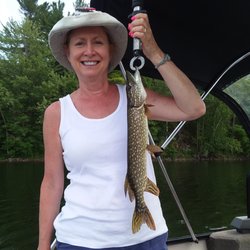 Griffin's Lakeside Cottages & Lodge - Northern pike.