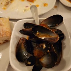 Bella Cucina - Empty shells - good sauce
