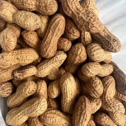 Echo Park Farmer's Market - Freshly roasted peanuts on spot. Medium bag for $5.