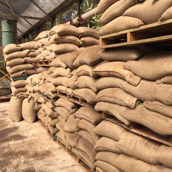Cafe Lareno - Green beans bags - Coffee & Tea Near Me - Lares, Puerto Rico Cafe Lareno - Green beans bags - Coffee & Tea Near Me - Lares, Puerto Rico