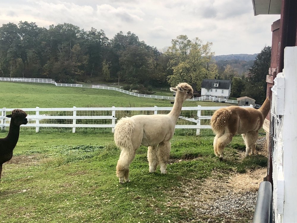 Tilly Foster Farm Museum, Brewster Roadtrippers