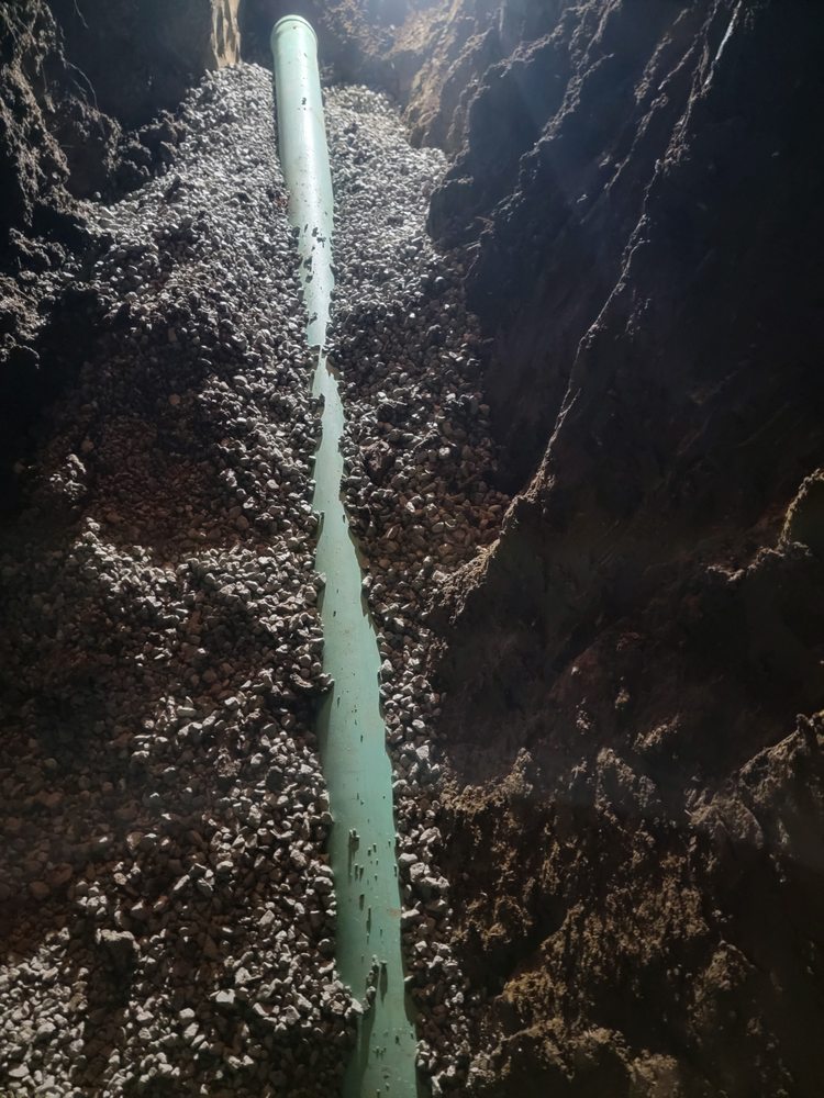 Slide of Stinky Scrap