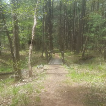 McCalls Dam State Park - Parks Near Me - Rebersburg, Pennsylvania
