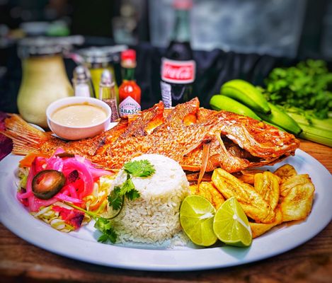 Rivera's Restaurant by null