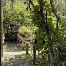 Maggie's Herb Farm