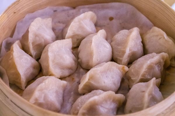 SHINYI Handmade Dumplings | dumpling house of 416 by null