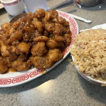 Tong Fong Low - Szechuan Chicken Lunch - Chinese Near Me - Oroville, California Tong Fong Low - Szechuan Chicken Lunch - Chinese Near Me - Oroville, California