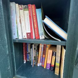 Little Free Library - Book Selection During Our Visit