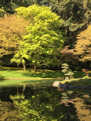 Nitobe Memorial Garden by null