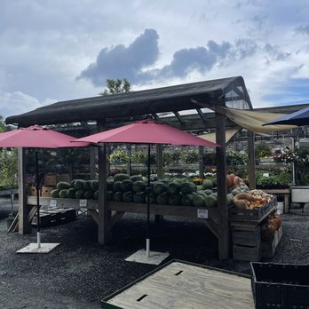 Nalls Produce - Watermelons - Fruits & Veggies Near Me - Alexandria, Virginia Nalls Produce - Watermelons - Fruits & Veggies Near Me - Alexandria, Virginia