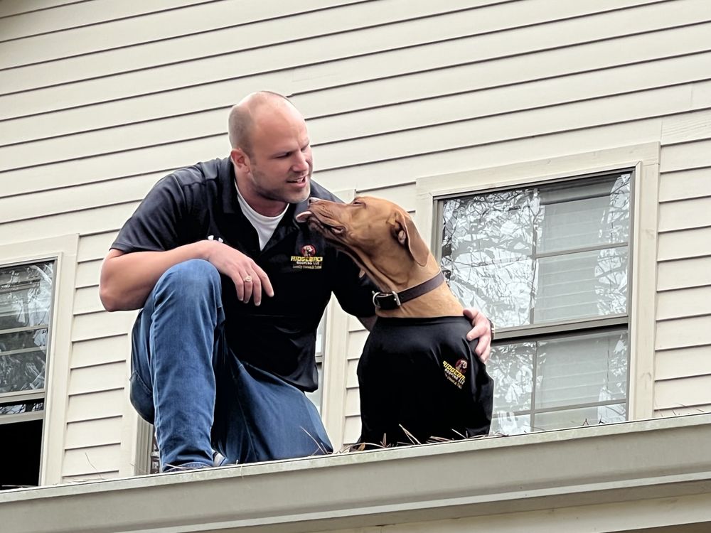 Slide of Ridgeback Roofing