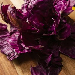 Texana Wellness Purple Cabbage and whole organic food