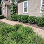 Photo of The Bush Guy Landscaping