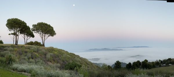Meher Mount by null