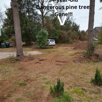 Mike's Tree Service - The 75ft dangerous tree on the property of 5 Acres. It was a muddy day Mike's rigs came in about 2:00 they were done. Neighbor's house safe. - Tree Services Near Me - Warner Robins, Georgia Mike's Tree Service - The 75ft dangerous tree on the property of 5 Acres. It was a muddy day Mike's rigs came in about 2:00 they were done. Neighbor's house safe. - Tree Services Near Me - Warner Robins, Georgia