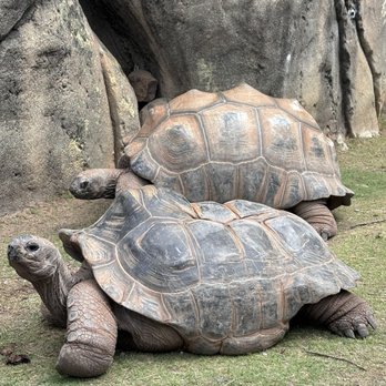 Greensboro Science Center - Zoos Near Me - Greensboro, North Carolina Greensboro Science Center - Zoos Near Me - Greensboro, North Carolina