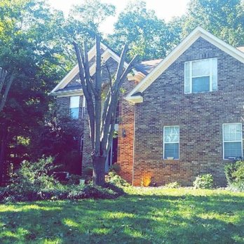 Monkey Business Tree service - Tree Services Near Me - Thomasville, North Carolina Monkey Business Tree service - Tree Services Near Me - Thomasville, North Carolina