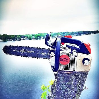 Provo Tree Experts - The top of a tree showcasing our most important tool - Tree Services Near Me Provo Tree Experts - The top of a tree showcasing our most important tool - Tree Services Near Me